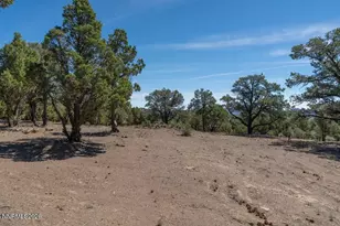 1790 Combination Rd, Reno, NV 89521 - Photo 43