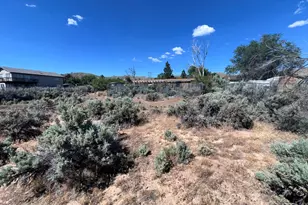 2485 Chukar Dr, Washoe Valley, NV 89704 - Photo 29