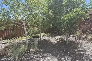 18360 Whitebark Ct, Reno, NV 89508 - Photo 17