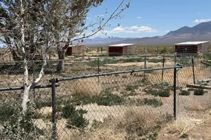 229 Cowboy Ct, Round Mountain, NV 89045 - Photo 17