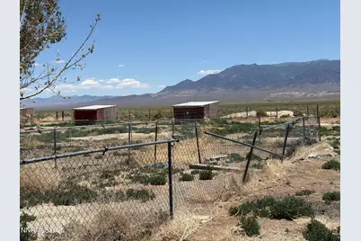 229 Cowboy Court, Round Mountain, NV 89045 - Photo 19