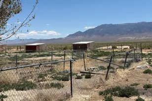229 Cowboy Ct, Round Mountain, NV 89045 - Photo 19