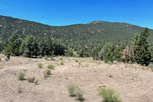 Tbd P14, Minden, NV 89423 - Photo 1