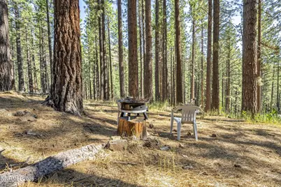 77 Ox Bow, Markleeville, CA 96120 - Photo 33
