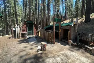 77 Ox Bow, Markleeville, CA 96120 - Photo 11