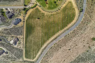 301 Five Creek Rd, Gardnerville, NV 89460 - Photo 5