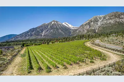 301 Five Creek Road, Gardnerville, NV 89460 - Photo 39