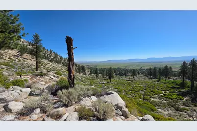 1219-04-002-005 Kingsbury Grade Road, Gardnerville, NV 89460 - Photo 9