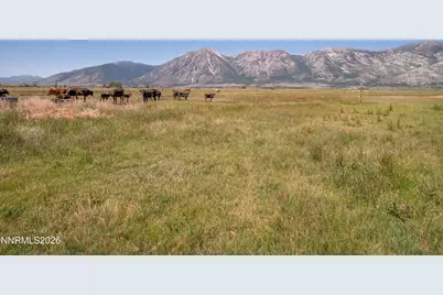 1225 Highway 88, Gardnerville, NV 89460 - Photo 11