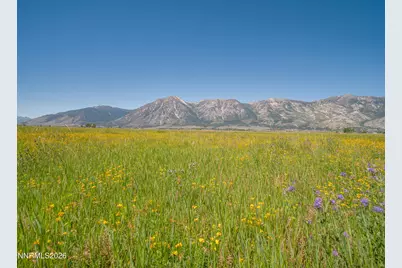 1225 Highway 88, Gardnerville, NV 89460 - Photo 15