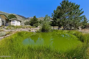 295 Nevada Rd, Markleeville, CA 96120 - Photo 35
