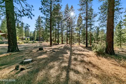 238 Redding Way, Indian Hills, NV 89705 - Photo 11