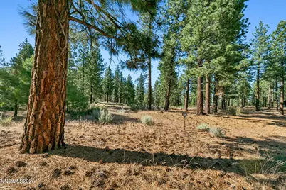 238 Redding Way, Indian Hills, NV 89705 - Photo 3