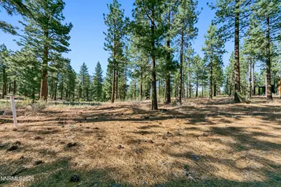 238 Redding Way, Indian Hills, NV 89705 - Photo 9