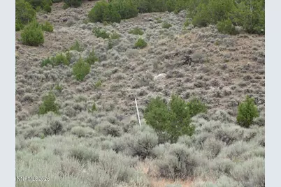705 Pah Rah Springs Road, Reno, NV 89510 - Photo 21
