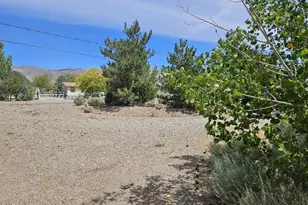3835 Granite Way, Topaz Ranch Estates, NV 89444 - Photo 17