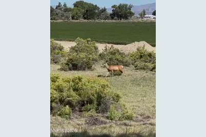 2195 Old River Road, Fallon, NV 89406 - Photo 45
