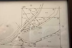 2195 Old River Rd, Fallon, NV 89406 - Photo 43