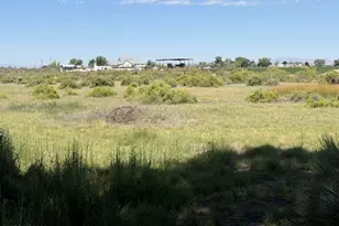 2195 Old River Rd, Fallon, NV 89406 - Photo 39