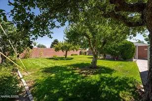 725 Wilkinson Ave, Reno, NV 89502 - Photo 25