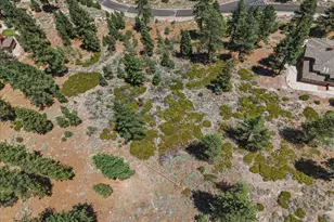 490 Nature's Edge Rd, Gardnerville, NV 89460 - Photo 1
