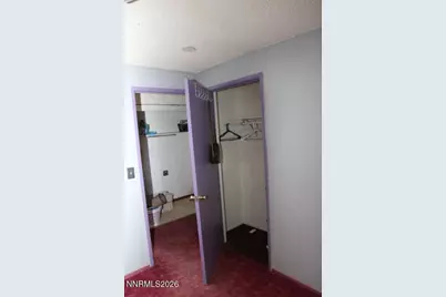 180 Roughing It Road, Dayton, NV 89403 - Photo 19