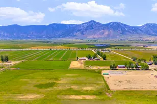 2699 U S N Hwy 395, Minden, NV 89423 - Photo 9