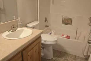 3840 Granite Way, Wellington, NV 89444 - Photo 27