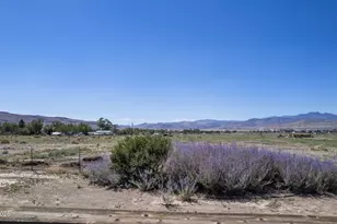 9025 Iroquois Trail, Stagecoach, NV 89429 - Photo 51