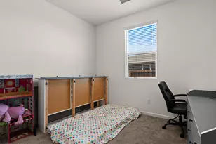 164 Snake Rd, Dayton, NV 89403 - Photo 25