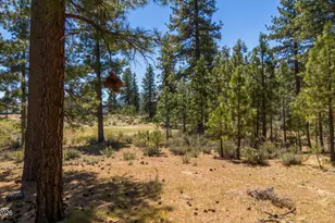 249 Redding Wy, Carson City, NV 89705 - Photo 19