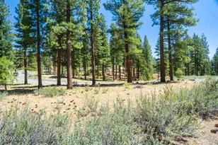 249 Redding Wy, Carson City, NV 89705 - Photo 13