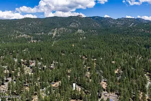 31 Chalet Ct, Stateline, NV 89449 - Photo 45