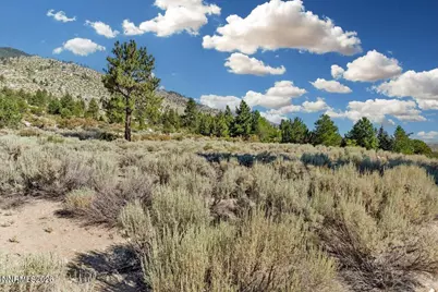 1211 Quail Ridge Road, Gardnerville, NV 89460 - Photo 15