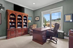 5885 Pala Mesa Dr, Sparks, NV 89436 - Photo 59