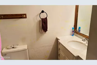 215 Fleischmann Way, Carson City, NV 89703 - Photo 13