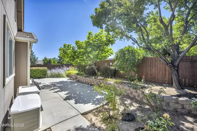 307 Torrey Pines Drive, Dayton, NV 89403 - Photo 37