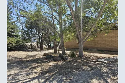 2026 Masonic Drive, Gardnerville, NV 89410 - Photo 21