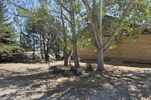 2026 Masonic Dr, Gardnerville, NV 89410 - Photo 21
