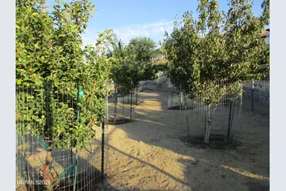 793 N Sutro Terrace, Carson City, NV 89706 - Photo 73