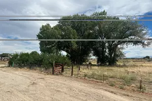 6975 Cox Rd, Fallon, NV 89406 - Photo 45