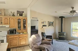 3715 Ballman Way, Wellington, NV 89444 - Photo 21