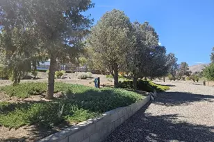3715 Ballman Way, Wellington, NV 89444 - Photo 17