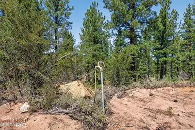 1100 Sugarloaf Road, Chilcoot-Vinton, CA 96105 - Photo 41