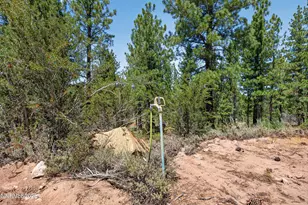 1100 Sugarloaf Rd, Chilcoot-Vinton, CA 96105 - Photo 41