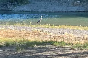 21255 Pyramid Lk Rd, Lovelock, NV 89419 - Photo 53
