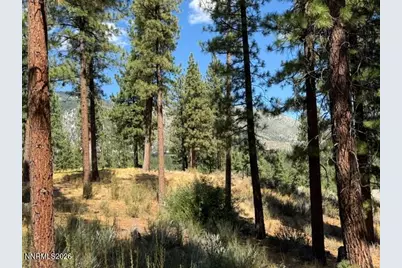 3288 Summit Camp Way #C20, Indian Hills, NV 89705 - Photo 3