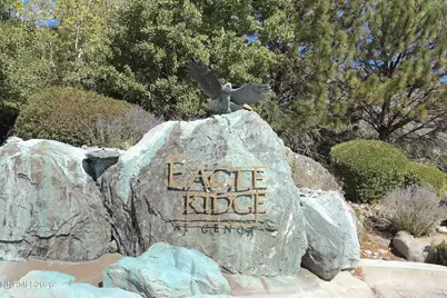 224 American Eagle Court, Genoa, NV 89411 - Photo 59