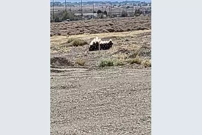 2195 Ramsey Cutoff, Silver Springs, NV 89429 - Photo 3