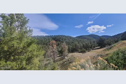 21685 Palamino Road, Virginia City, NV 89440 - Photo 11